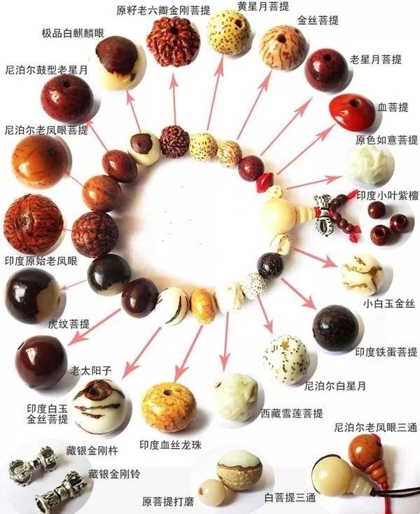 微信图片_20190108130932.jpg