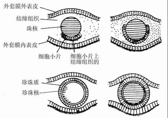 微信图片_20200629154238.jpg